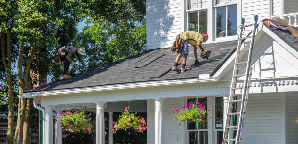 Best Residential Roofing Contractor  in Capac, MI