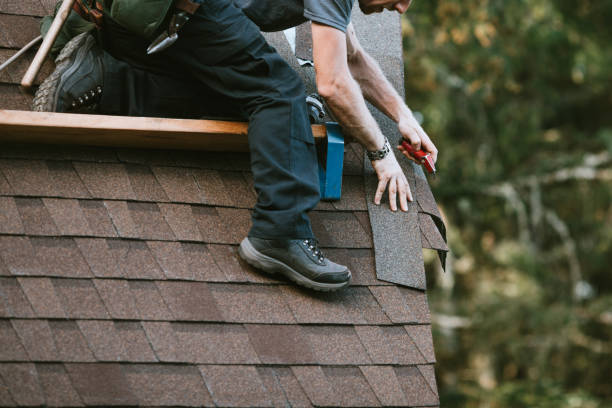 Best Roof Repair Services  in Capac, MI